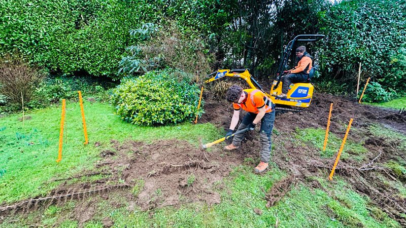 Bamboo Removal Specialists Somerset Bamboo Removal Specialists Somerset