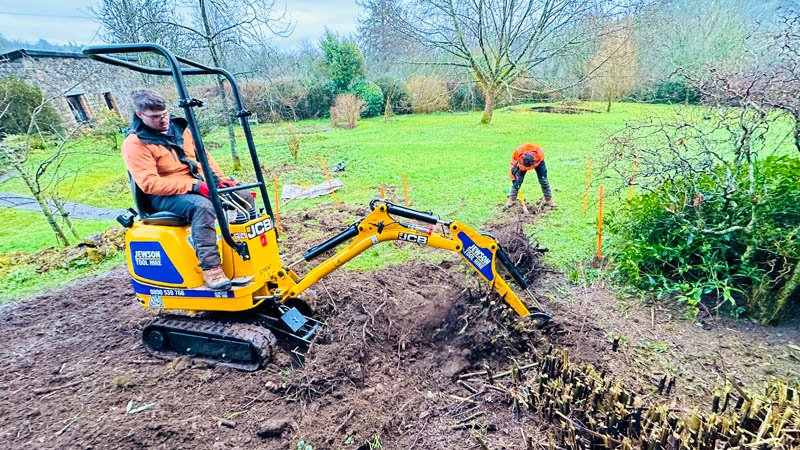 Somerset Bamboo Removal Somerset Bamboo Removal